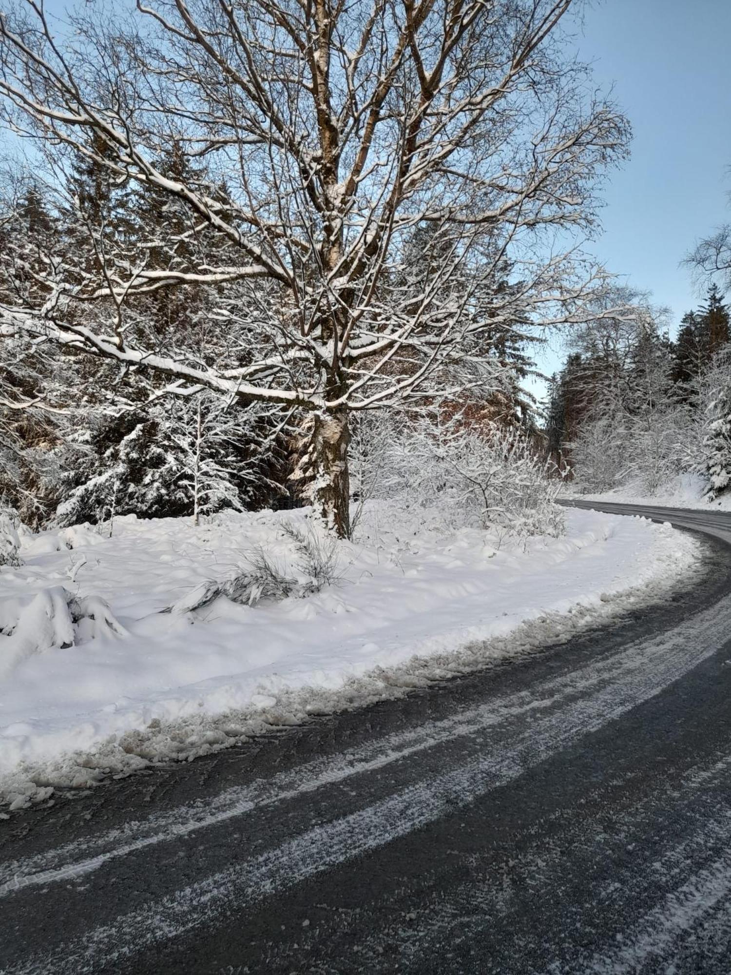 Haus Konthe, Appartement Winterberg Ngoại thất bức ảnh